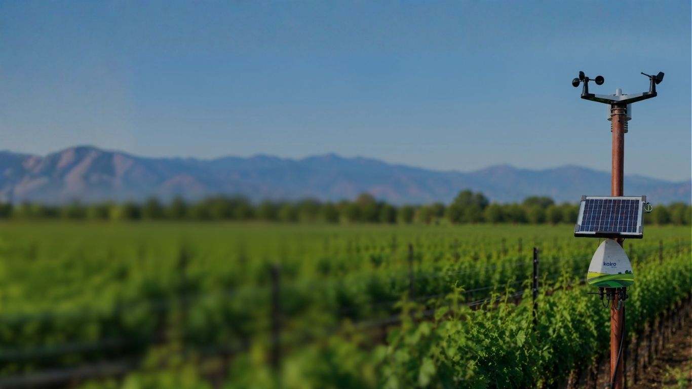 Fyllo farm background