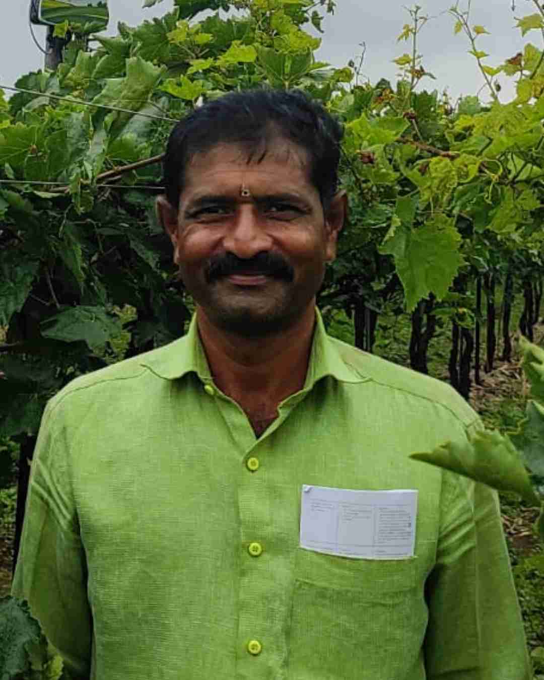Fyllo Farmer
