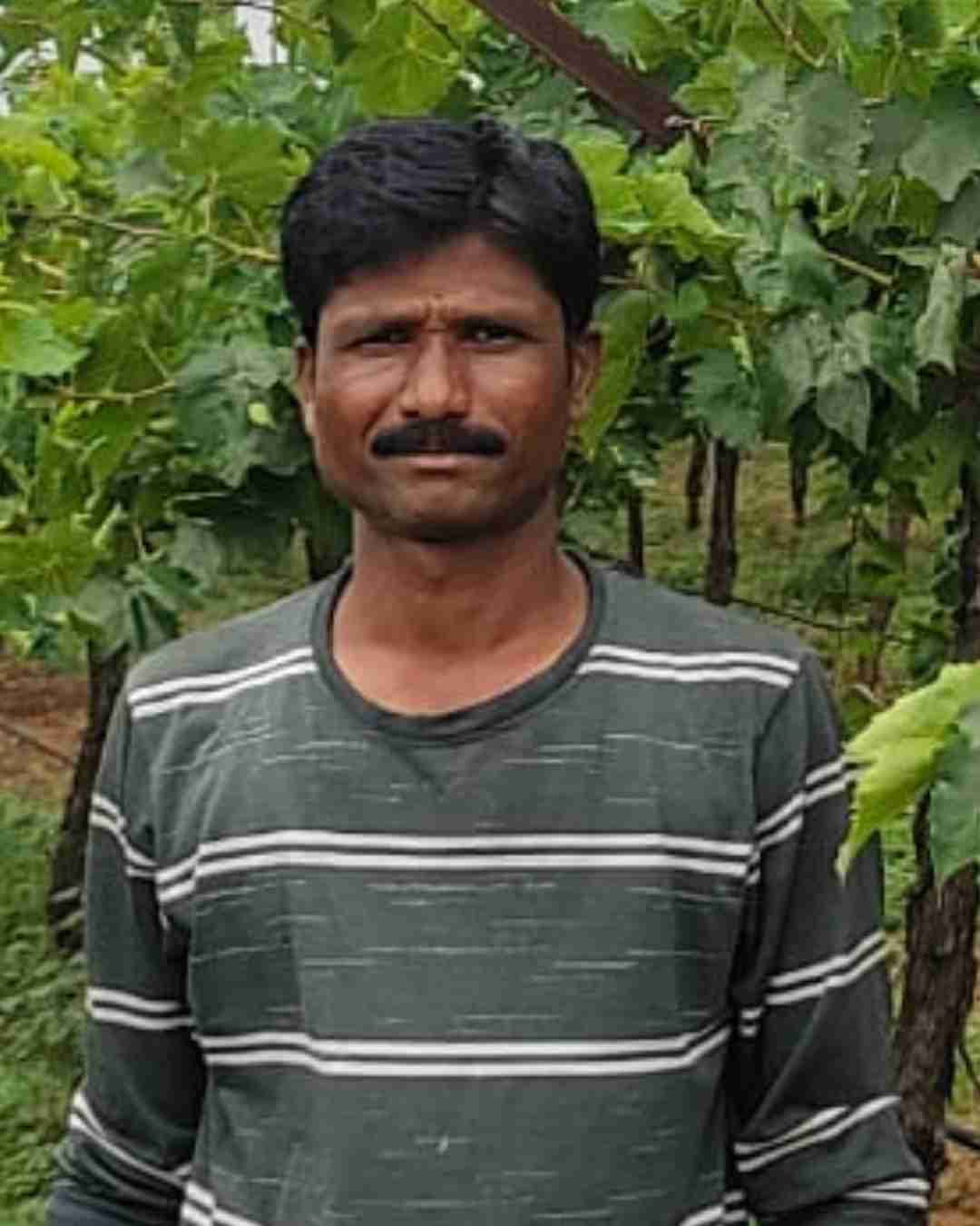 Fyllo Farmer