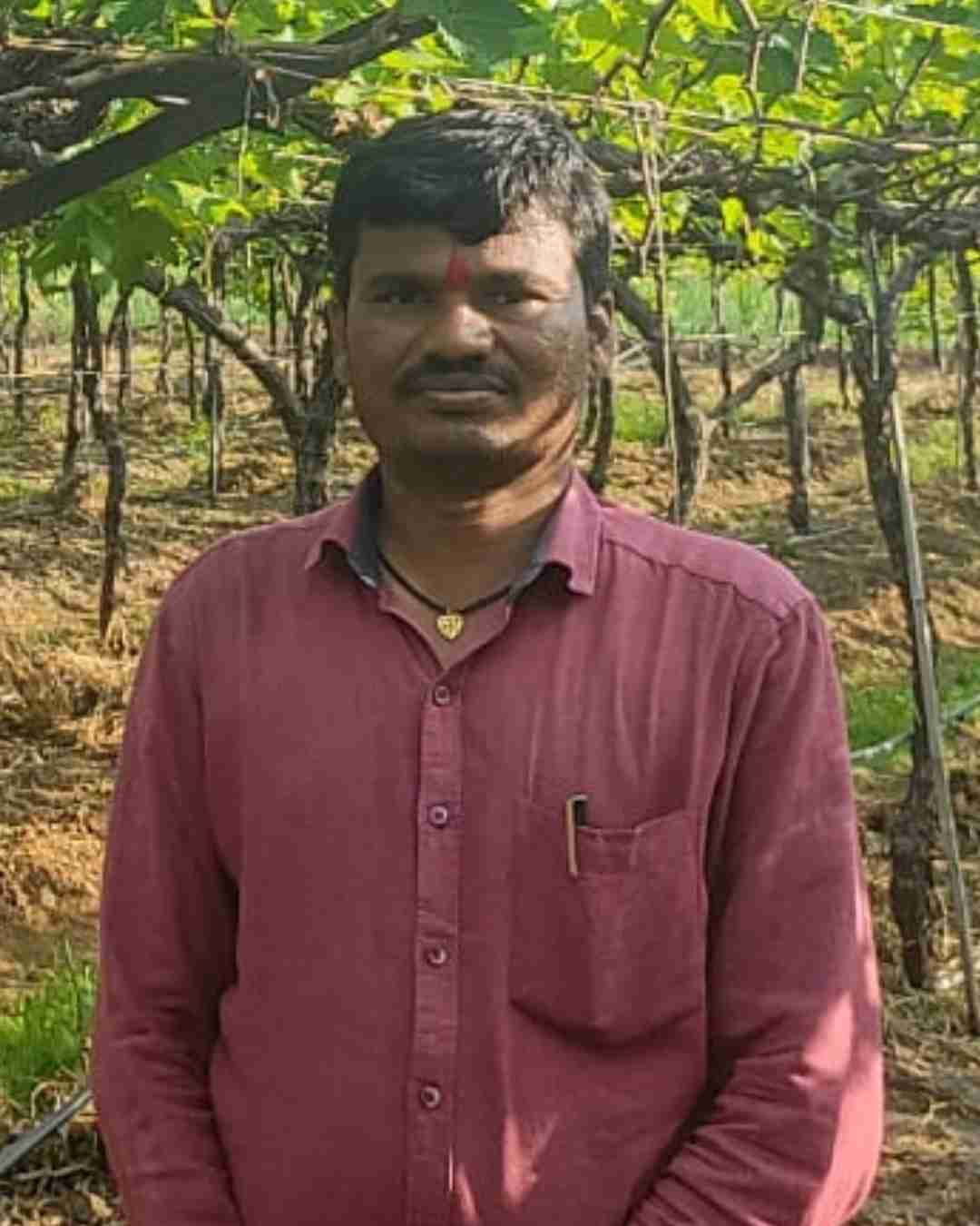Fyllo Farmer